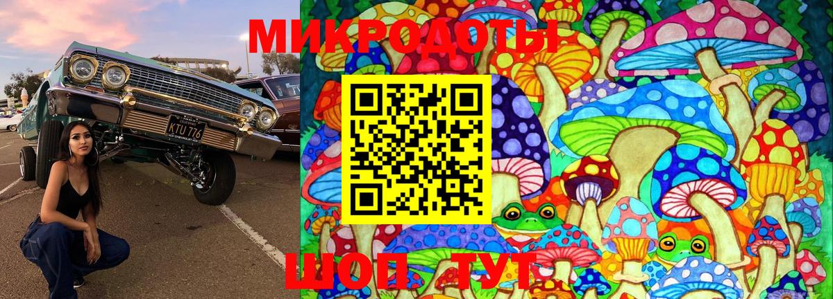 Псилоцибиновые грибы MAGIC MUSHROOMS  Вход с VPN  где купить наркоту  Волгоград 