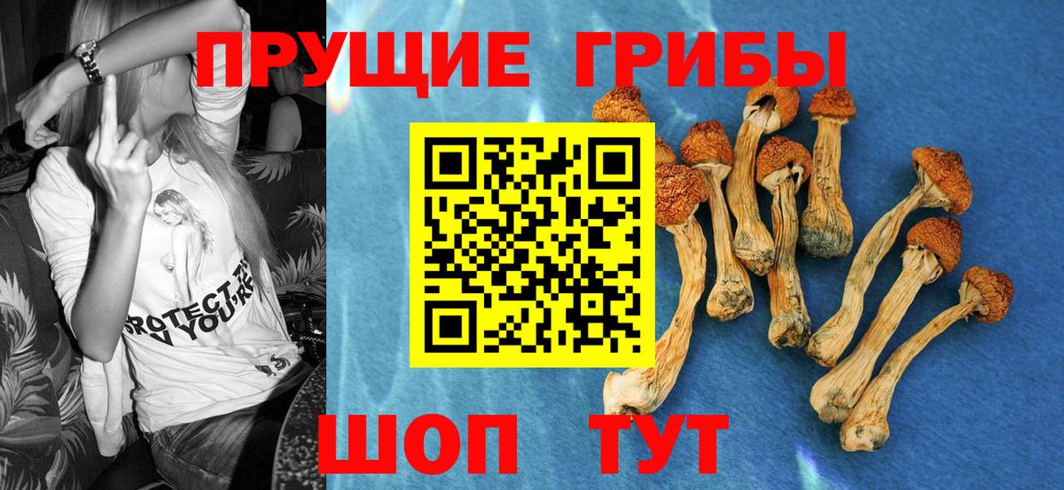 Псилоцибиновые грибы прущие грибы Волгоград